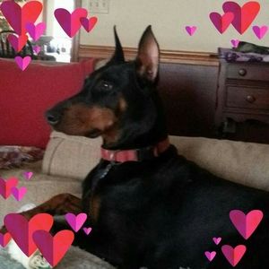 Meet your Posher, Linda